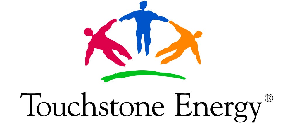 TSE logo