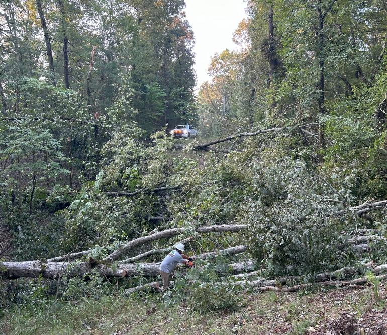 Hurricane Helene Damage